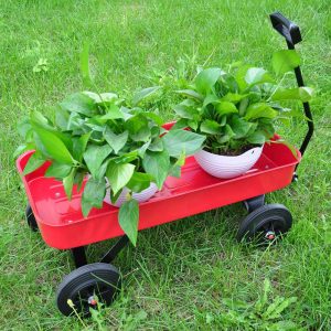 Garden Cart All Terrain Cargo Wagon With Solid Wheels (15)